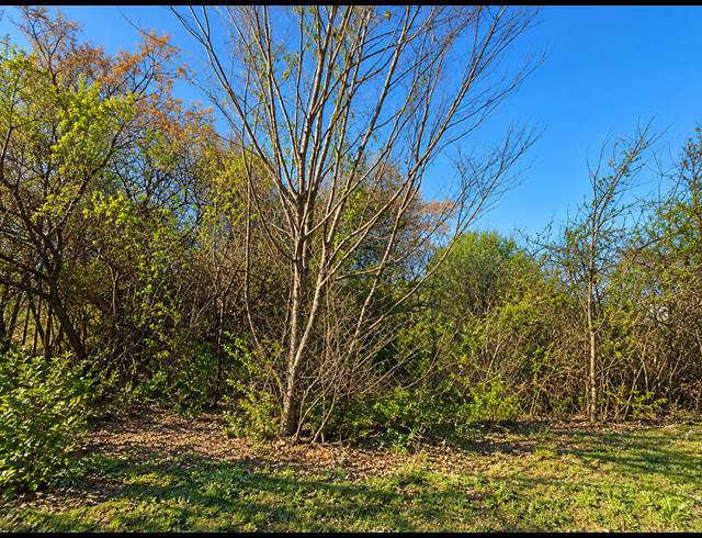 1,672M² VACANT LAND FOR SALE IN ROTHDENE